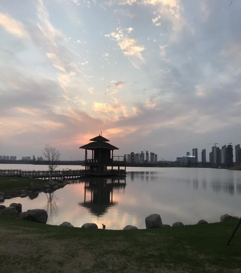 政教處：超越自我，“牛”轉乾坤(圖1)