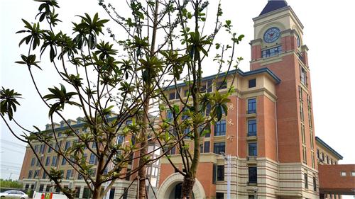 合肥七中高新校區(qū)樓宇、道路、景觀等命名名稱(圖7)