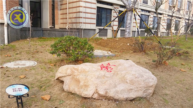 雪園“石頭記”，最美是氣質(zhì)(圖5)
