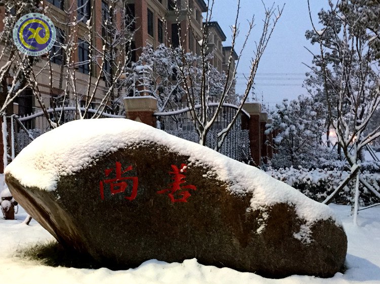 雪園“石頭記”，最美是氣質(zhì)(圖3)