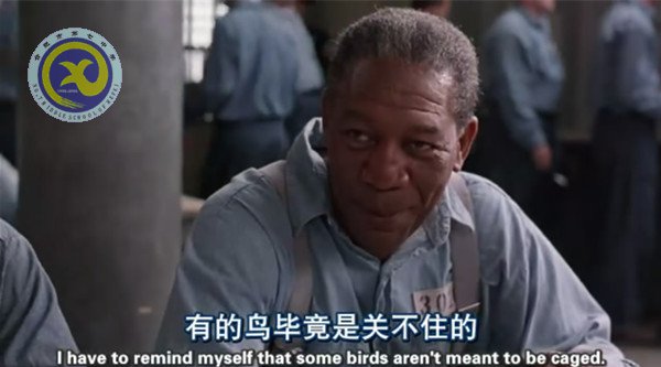 暢享視聽之趣，延伸課堂之美(圖2)
