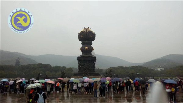壯志少年遠游學 櫻花微雨趁春光(圖2)