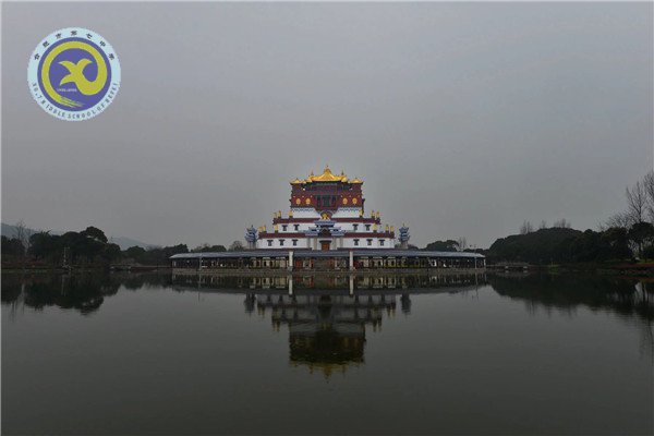 壯志少年遠游學 櫻花微雨趁春光(圖1)