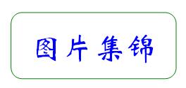 合肥市第七中學·農(nóng)興中學合作共建 簡報(圖6)