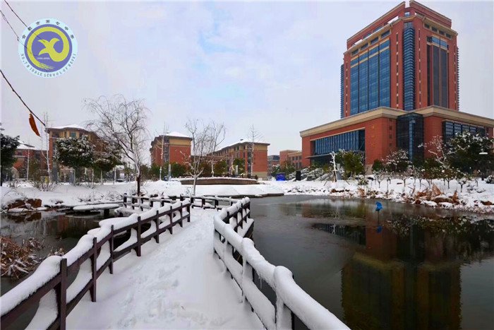梅雪盼冬來，微笑迎春歸(圖6)