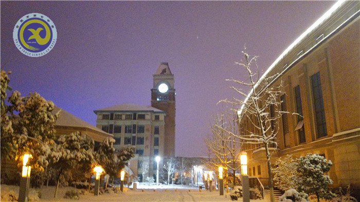 梅雪盼冬來，微笑迎春歸(圖12)