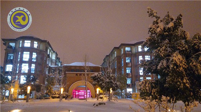 梅雪盼冬來，微笑迎春歸(圖13)