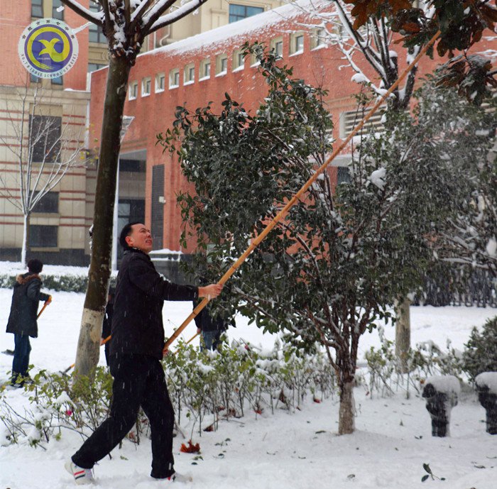 梅雪盼冬來，微笑迎春歸(圖10)