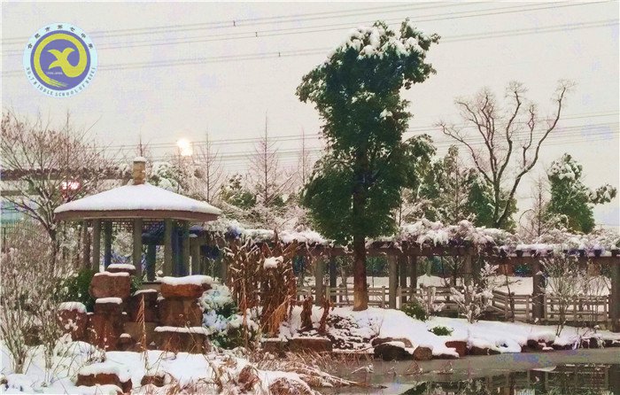梅雪盼冬來，微笑迎春歸(圖8)