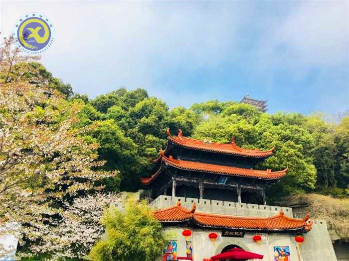 格世間萬物，知自然之理(圖3)