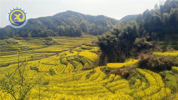 徽風(fēng)皖韻，盡在宏村(圖1)