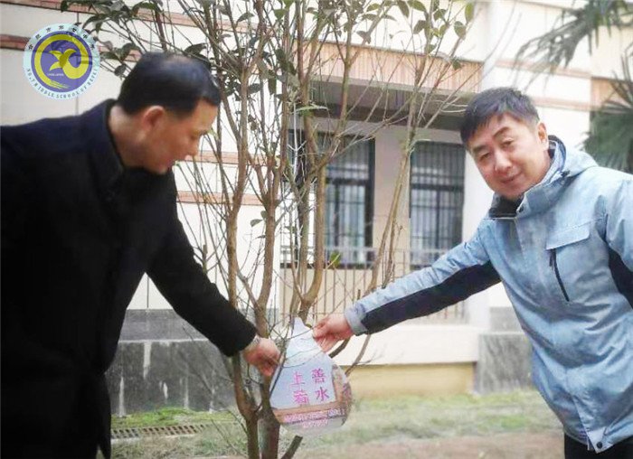 一棵兩棵三棵，棵棵皆成棟梁材(圖7)