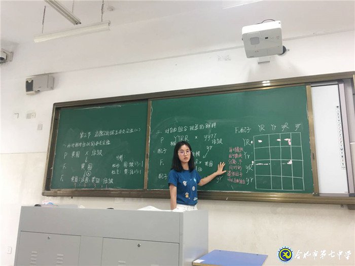 獨(dú)木不成林，集體有力量(圖4)