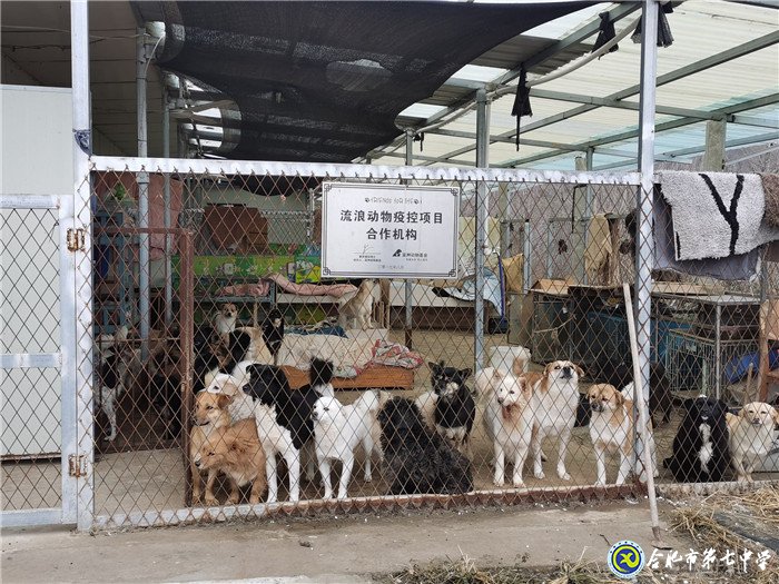 關(guān)愛生命，善待動物(圖3)