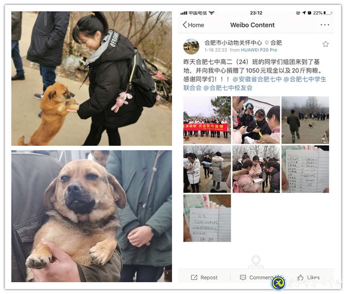 關(guān)愛生命，善待動物(圖4)