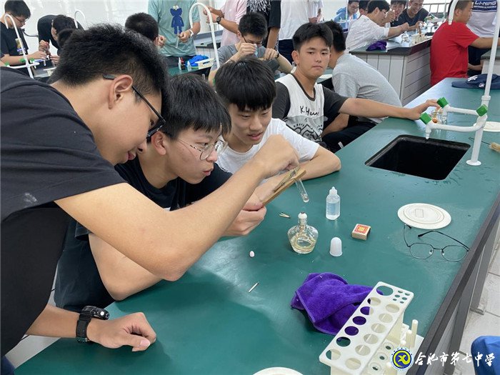 動手動腦  體驗科學(xué)實(shí)驗之美(圖1)