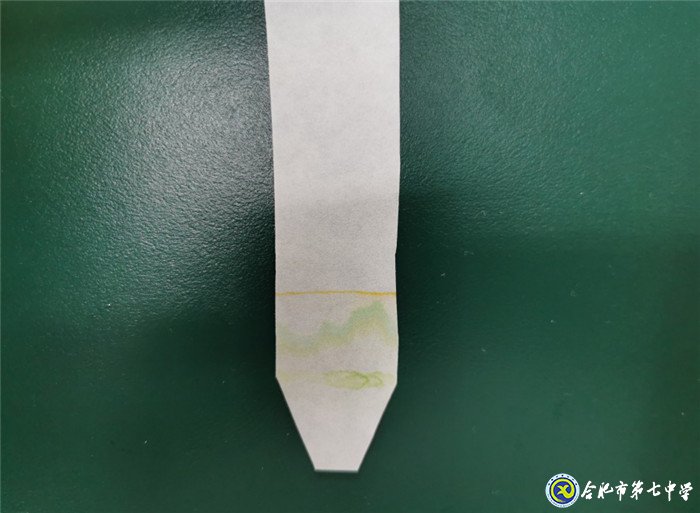 6月24日實習手記:暢游知識海洋 感悟?qū)嵙暽?圖2)