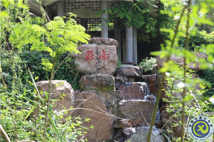 合肥七中、肥西農(nóng)興中學(xué)聯(lián)合倡議書(圖6)