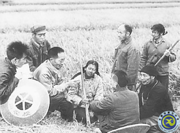 △早期研究階段，袁隆平（左三）在田間為農(nóng)民講課.png