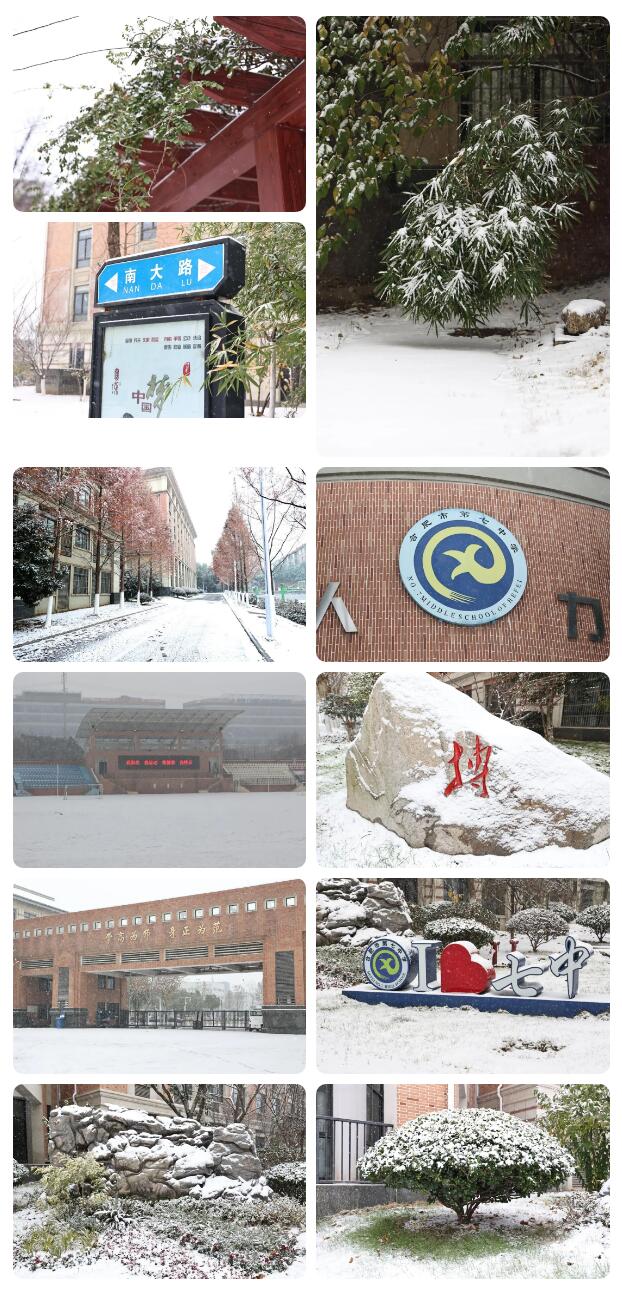 寶藏學(xué)校：每個(gè)人都期待，雪花所帶來的“活潑潑”的生命(圖5)