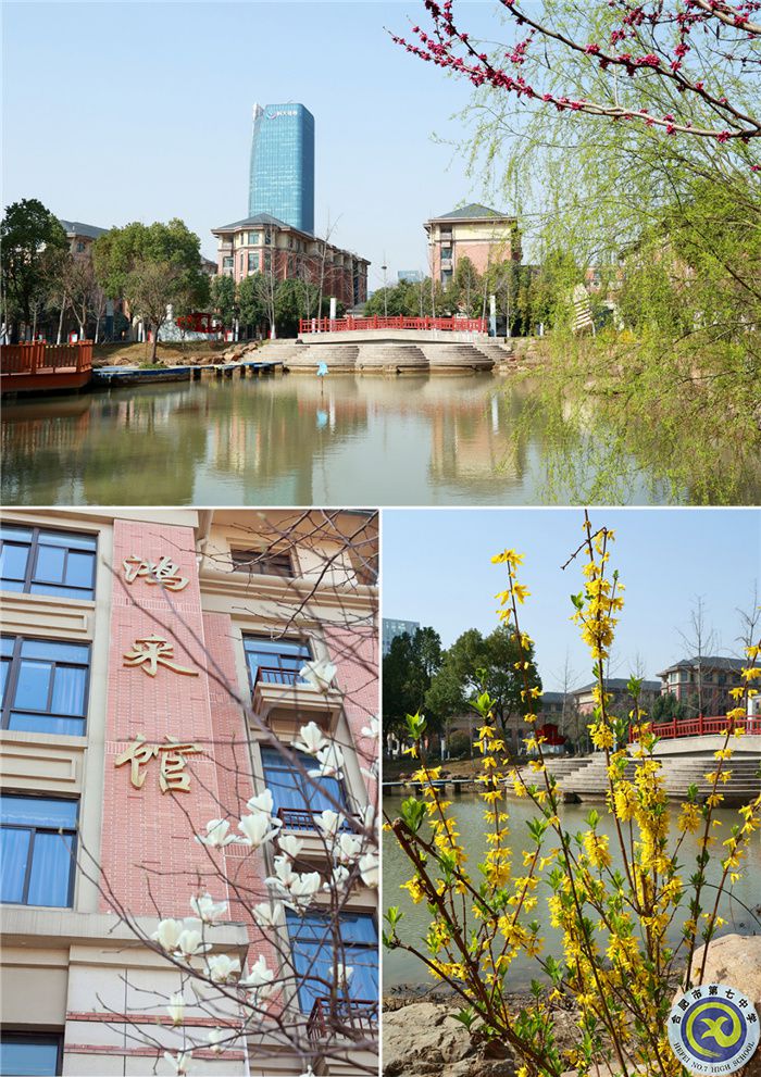七中游，春日繽紛花滿頭(圖1)