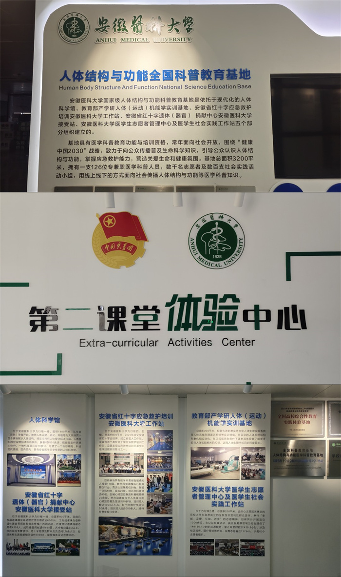 合肥七中高一 （25） 班赴安醫(yī)大人體科學(xué)館開(kāi)展寒假社會(huì)實(shí)踐活動(dòng)(圖2)