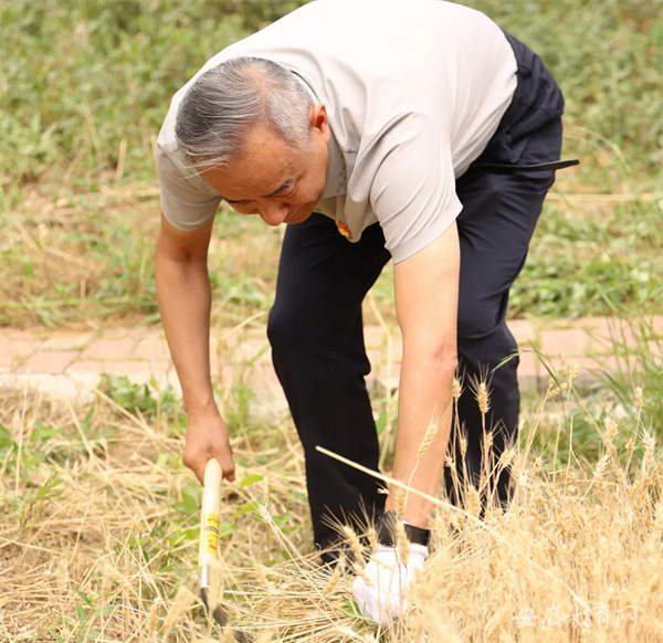 安徽省教育廳：美好生活 勞動創(chuàng)造 合肥七中開展系列勞動實(shí)踐教育活動(圖2)